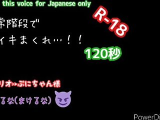 ?Sorry, for Japanese only???????????!!?????????