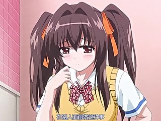 ?????? THE ANIMATION