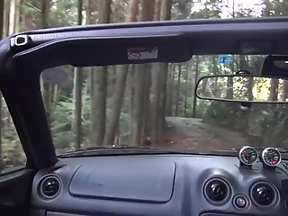 ?????216??????????????????????